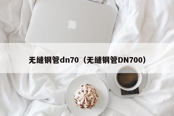 无缝钢管dn70（无缝钢管DN700）